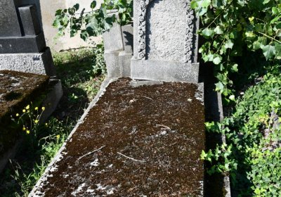 Terezín městský, Omnium, 2020