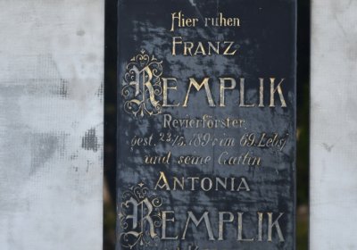 Terezín městský, Omnium, 2020