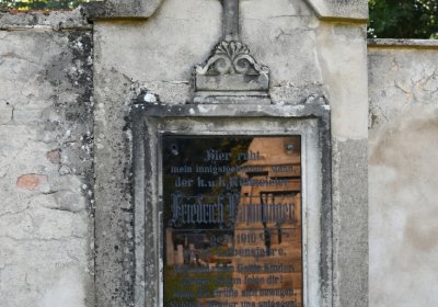 Terezín městský, Omnium, 2020