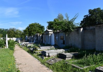 Terezín městský, Omnium, 2020