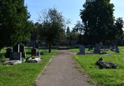 Terezín městský, Omnium, 2020
