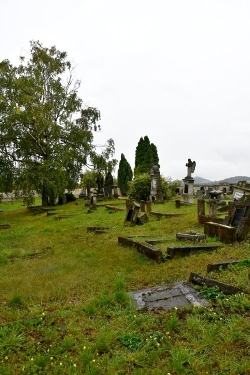 Medvědice