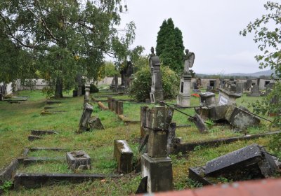 Medvědice, Omnium, 2020