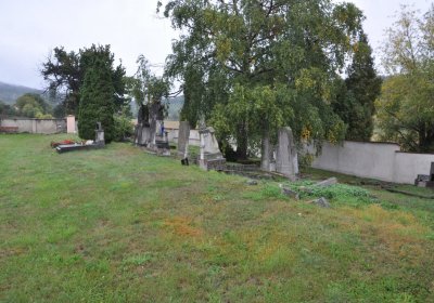 Medvědice, Omnium, 2020