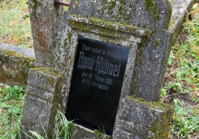 Medvědice, Omnium, 2020