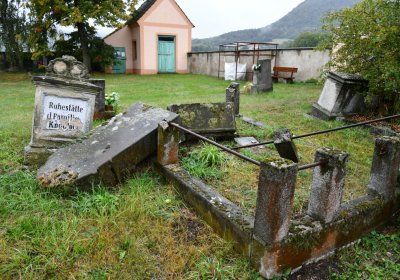 Medvědice, Omnium, 2020
