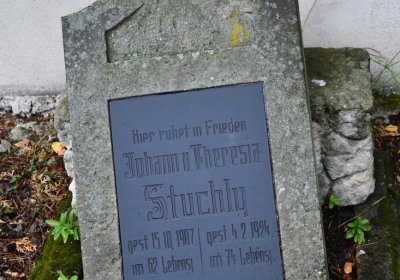 Medvědice, Omnium, 2020