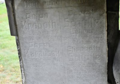Medvědice, Omnium, 2020
