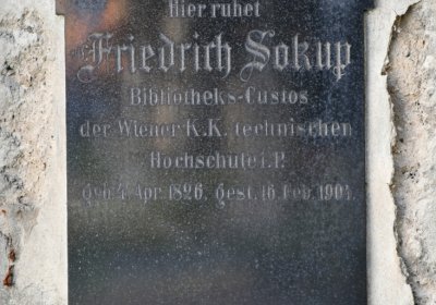 Třebenice u kostela, Omnium, 2020