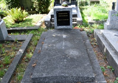 Třebenice u kostela, Omnium, 2020