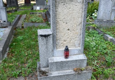 Třebenice u kostela, Omnium, 2020