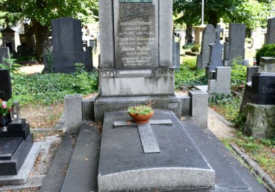 Třebenice u kostela, Omnium, 2020