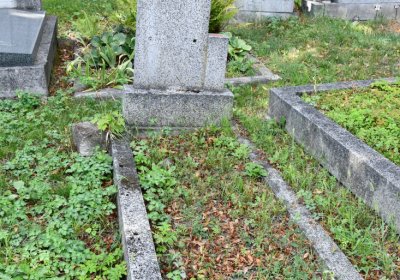 Třebenice u kostela, Omnium, 2020