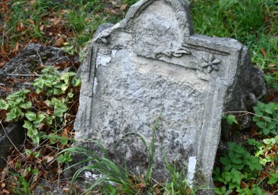 Třebenice u kostela, Omnium, 2020