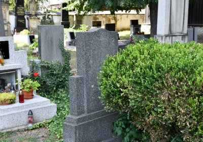 Třebenice u kostela, Omnium, 2020