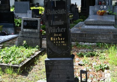 Třebenice u kostela, Omnium, 2020