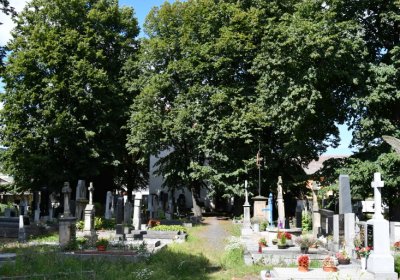 Třebenice u kostela, Omnium, 2020