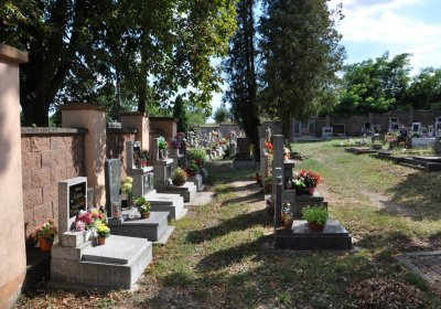 Třebenice, Omnium, 2020