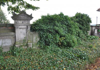 Robeč, Omnium, 2020