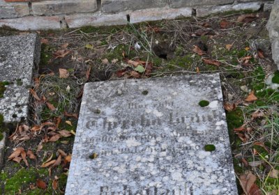 Robeč, Omnium, 2020