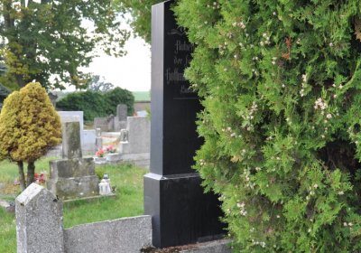 Robeč, Omnium, 2020