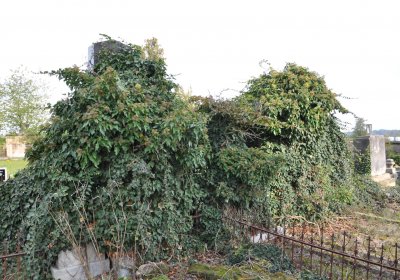 Robeč, Omnium, 2020