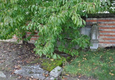 Robeč, Omnium, 2020