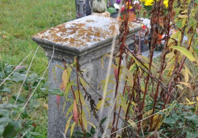 Robeč, Omnium, 2020