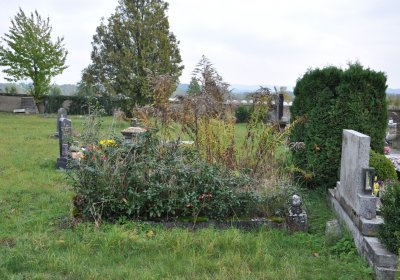 Robeč, Omnium, 2020