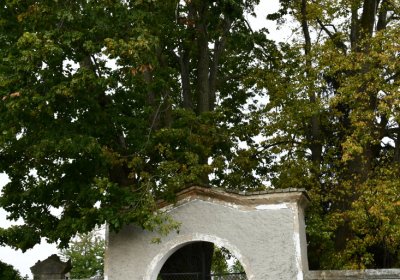 Robeč, Omnium, 2020