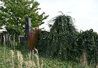 Robeč, Omnium, 2020