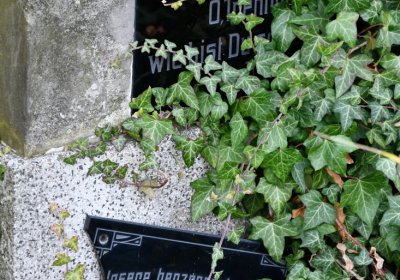 Robeč, Omnium, 2020