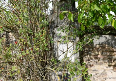 Robeč, Omnium, 2020