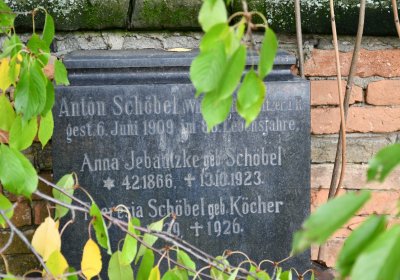 Robeč, Omnium, 2020