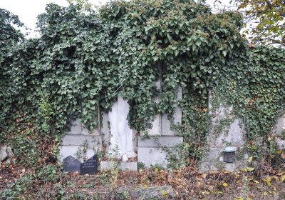 Bítozeves, Omnium, 2020