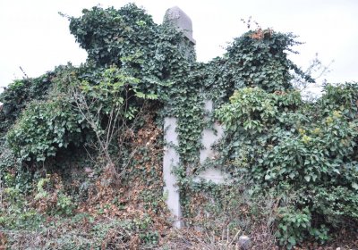 Bítozeves, Omnium, 2020