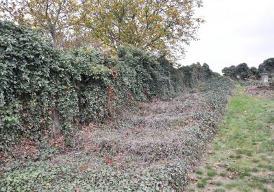 Bítozeves, Omnium, 2020