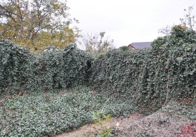 Bítozeves, Omnium, 2020