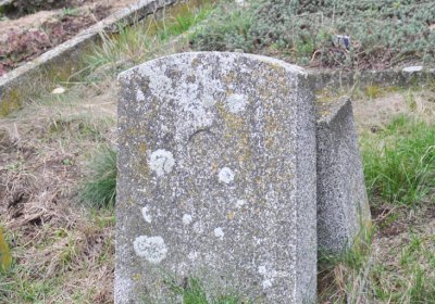 Bítozeves, Omnium, 2020