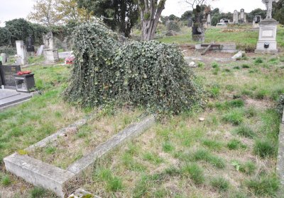 Bítozeves, Omnium, 2020