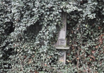 Bítozeves, Omnium, 2020