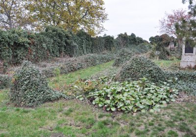 Bítozeves, Omnium, 2020