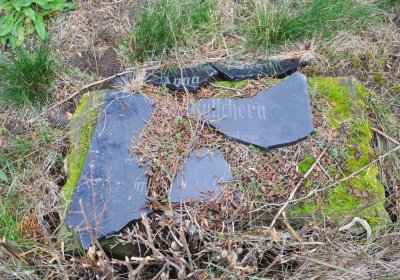 Bítozeves, Omnium, 2020