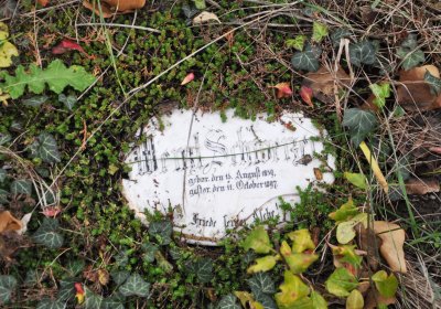 Bítozeves, Omnium, 2020