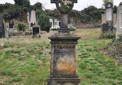 Bítozeves, Omnium, 2020