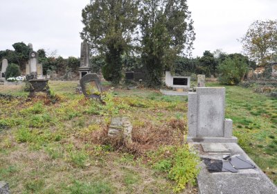 Bítozeves, Omnium, 2020