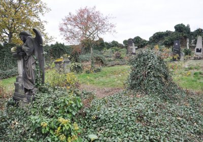 Bítozeves, Omnium, 2020