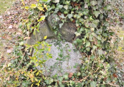 Bítozeves, Omnium, 2020