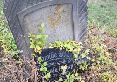 Bítozeves, Omnium, 2020