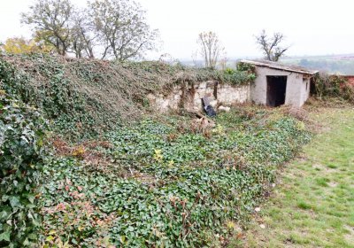 Bítozeves, Omnium, 2020